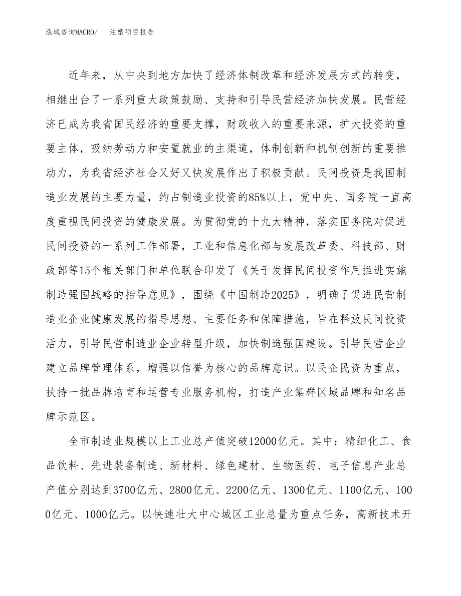 注塑项目报告.docx_第4页