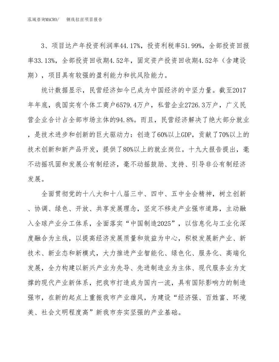 铜线拉丝项目报告.docx_第4页