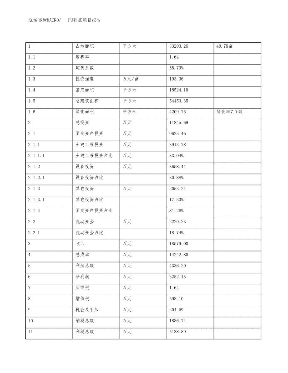 PU鞋底项目报告.docx_第5页