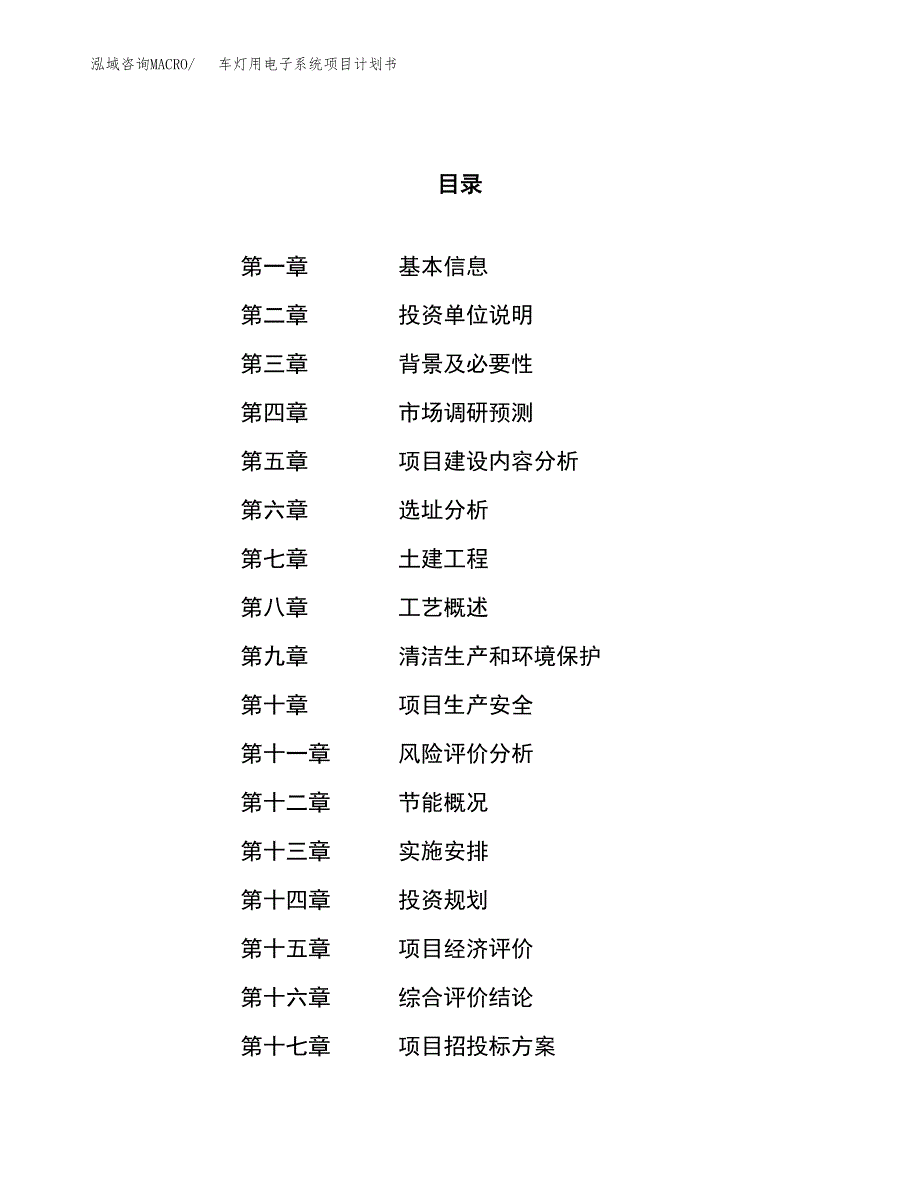 车灯用电子系统项目计划书.docx_第1页