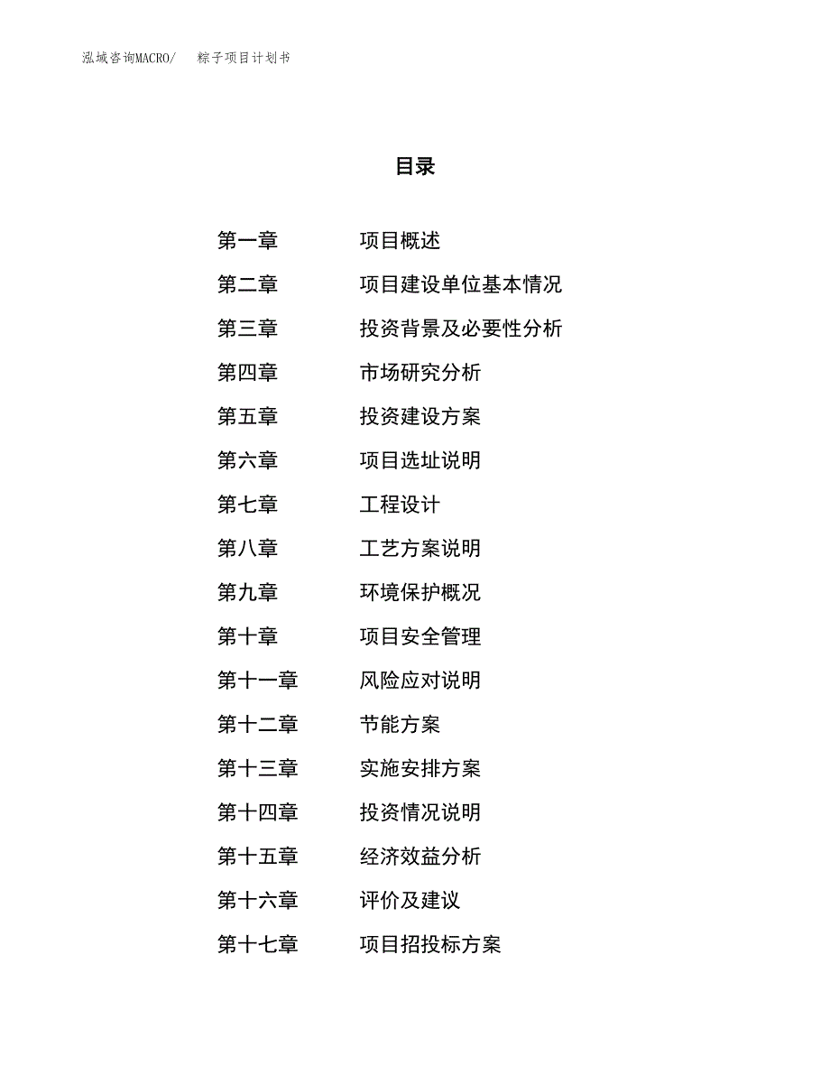 粽子项目计划书.docx_第1页