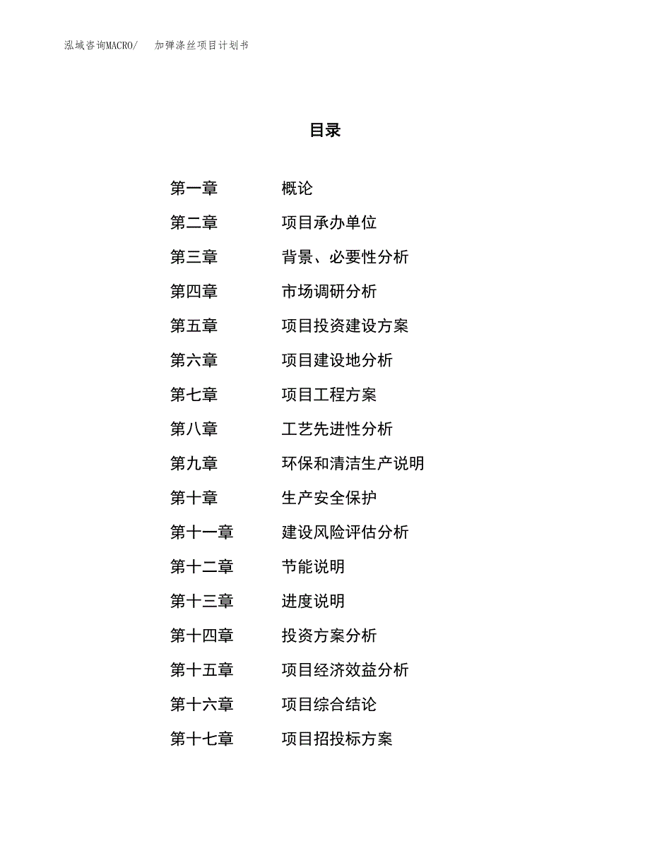 加弹涤丝项目计划书.docx_第1页