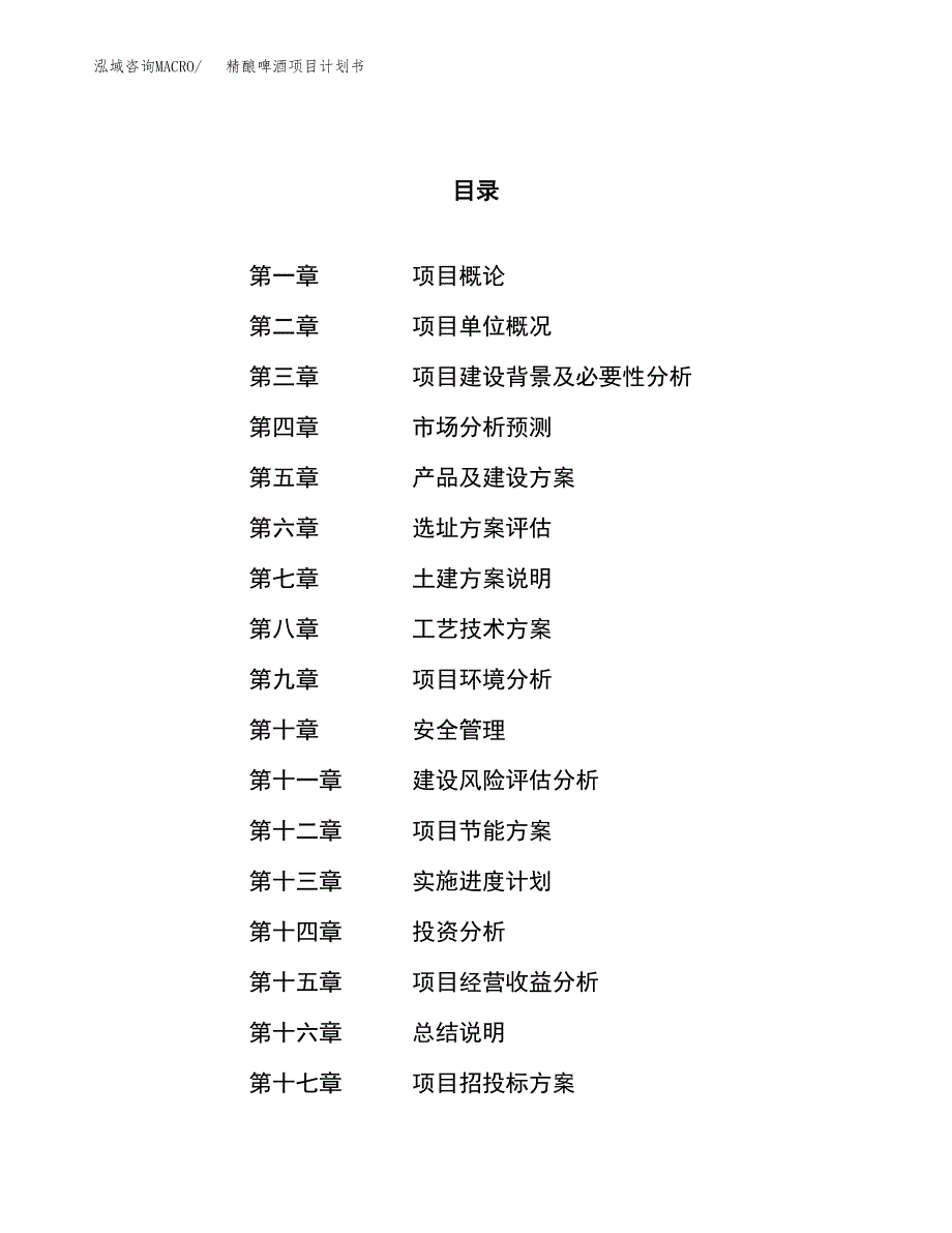 精酿啤酒项目计划书.docx_第1页