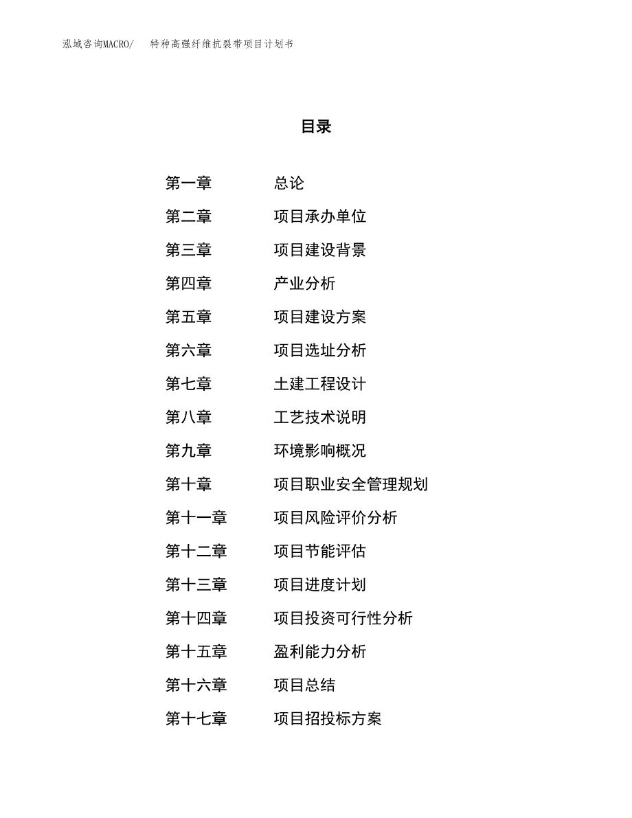 特种高强纤维抗裂带项目计划书.docx_第1页