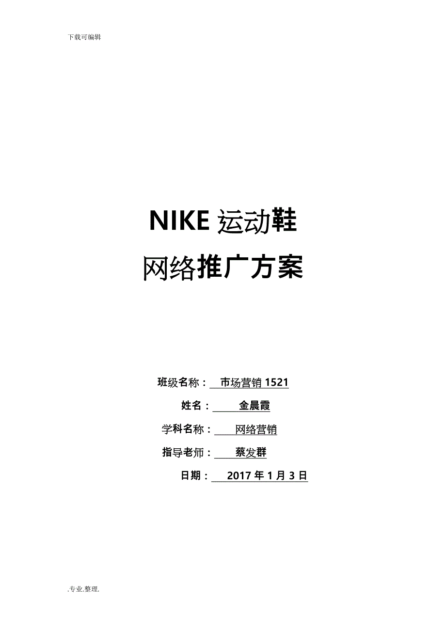 NIKE运动鞋网络推广方案_第1页