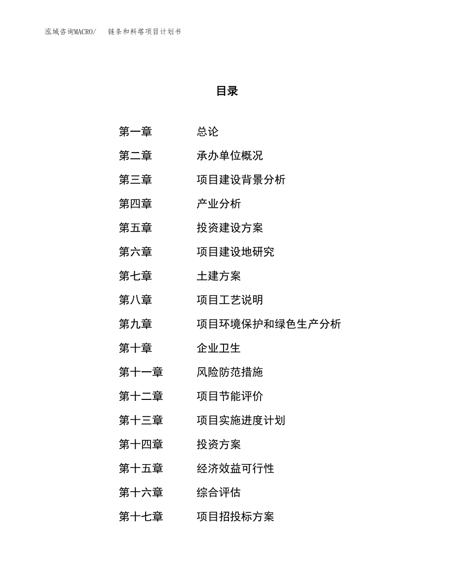 链条和料塔项目计划书.docx_第1页