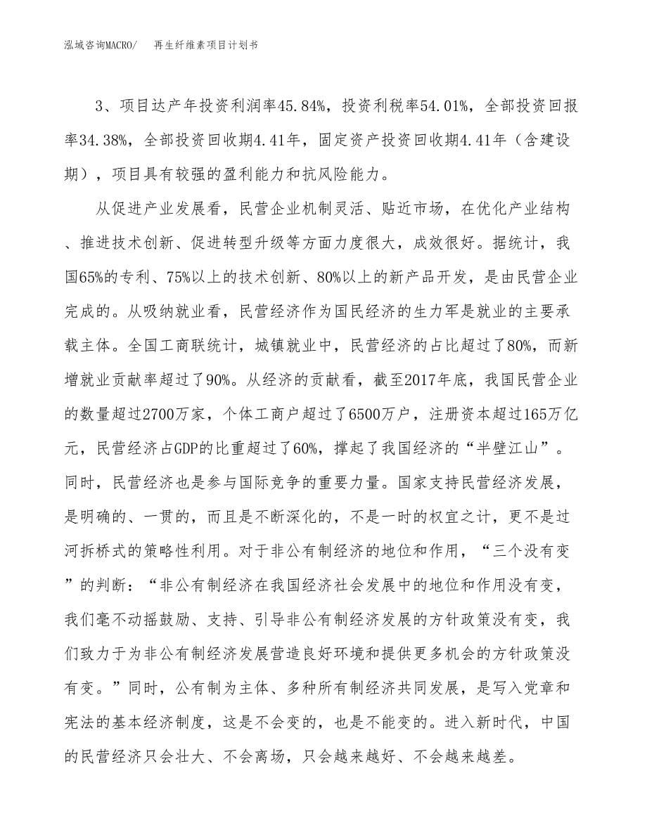 再生纤维素项目计划书.docx_第5页