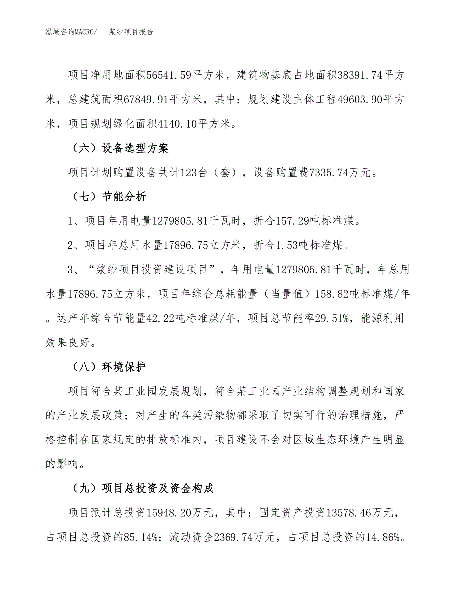 浆纱项目报告.docx_第2页