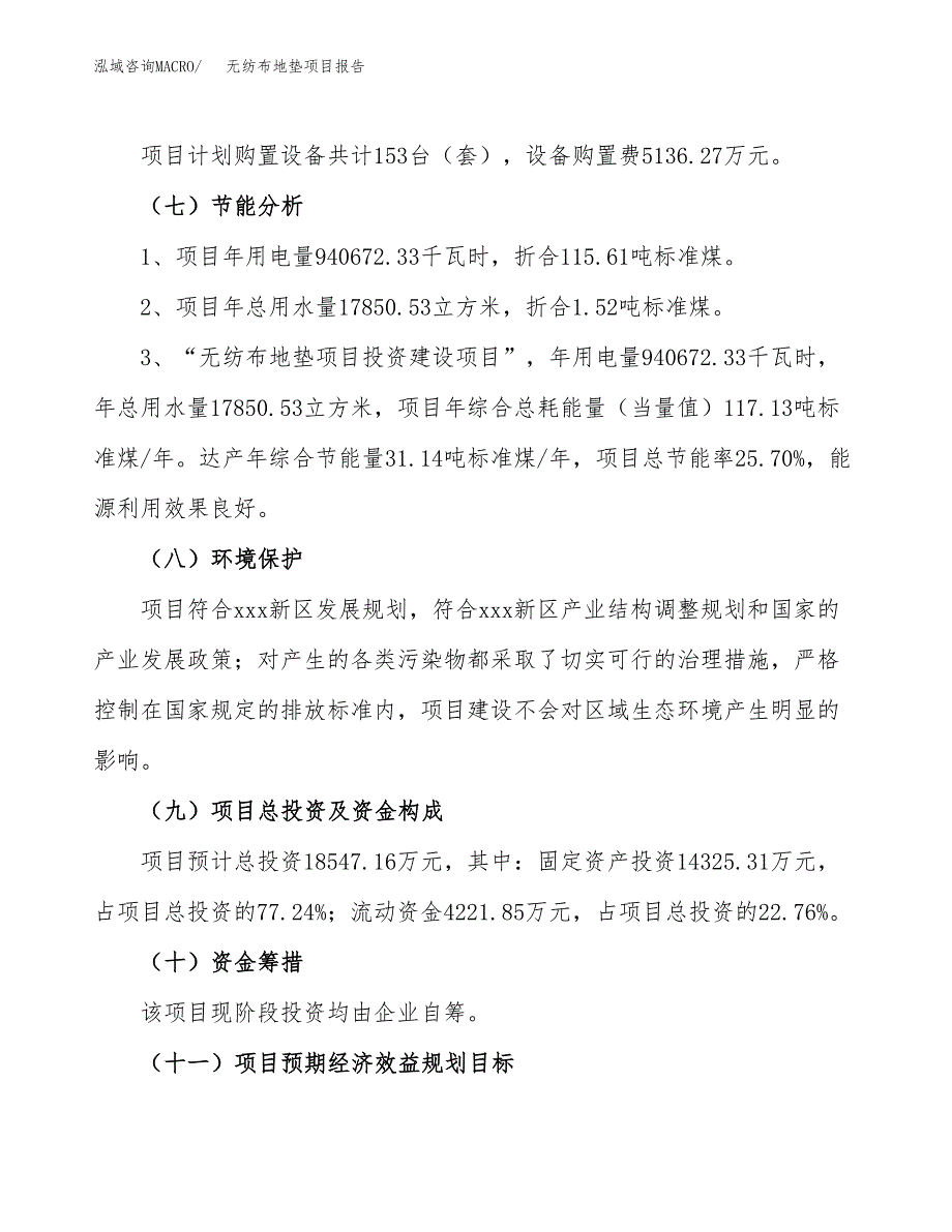 无纺布地垫项目报告.docx_第2页