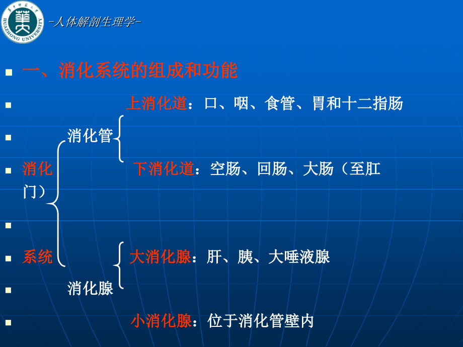 人体解剖生理学第八章消化系统_第2页