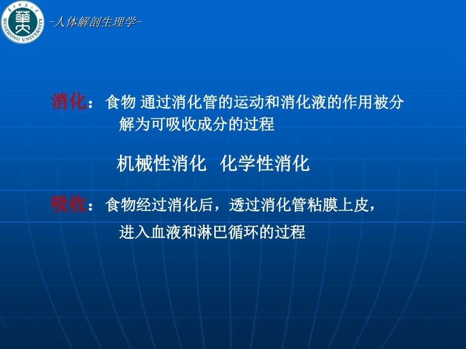 人体解剖生理学第八章消化系统_第5页