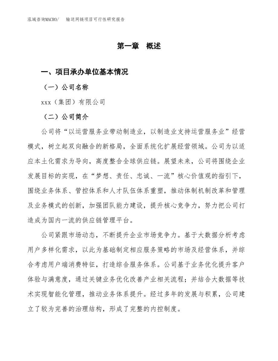 输送网链项目可行性研究报告样例参考模板.docx_第5页