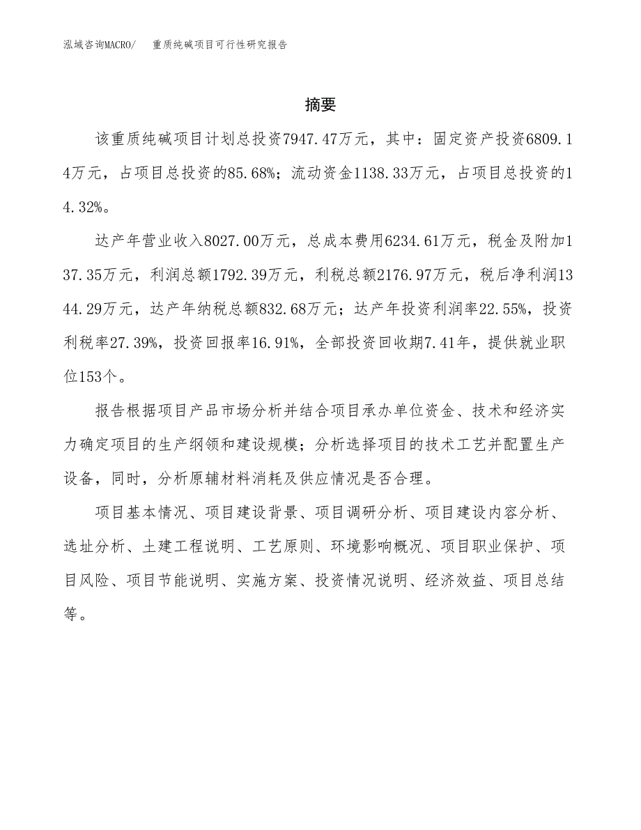 重质纯碱项目可行性研究报告样例参考模板.docx_第2页