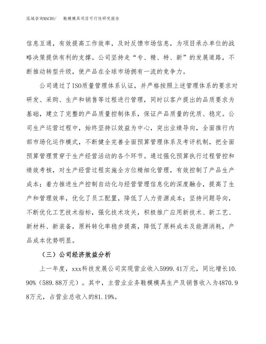 运动鞋项目可行性研究报告样例参考模板.docx_第5页