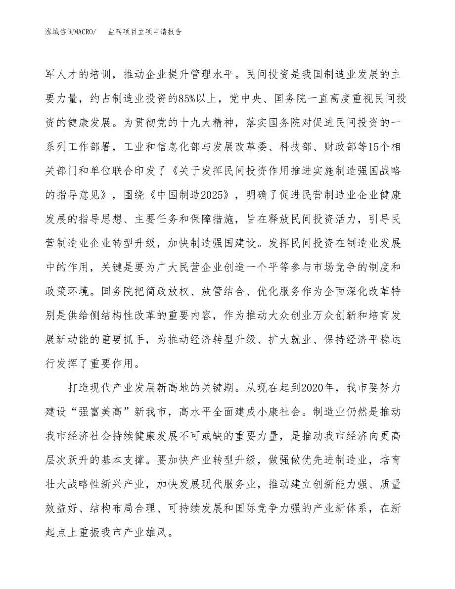 盐砖项目立项申请报告样例参考.docx_第5页