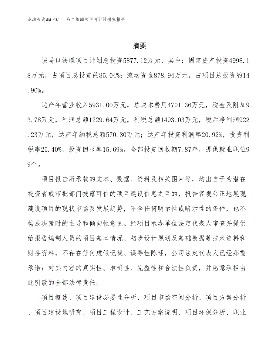 马口铁罐项目可行性研究报告样例参考模板.docx_第2页