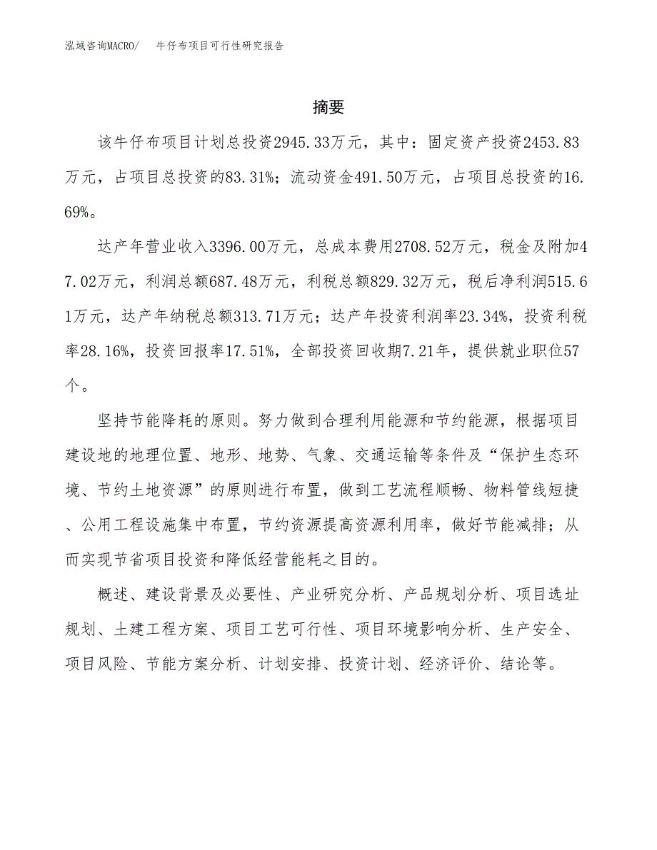 牛仔布项目可行性研究报告样例参考模板.docx_第2页