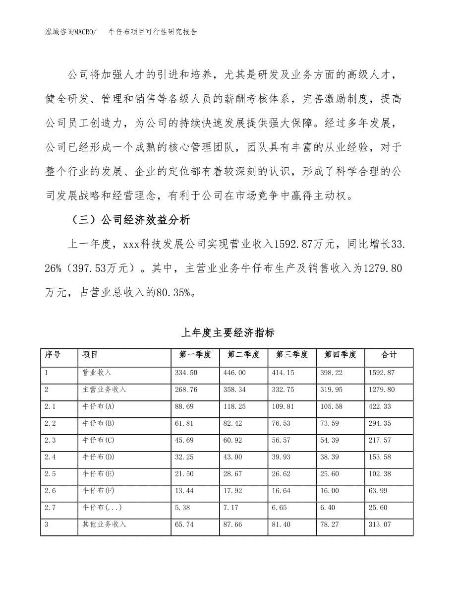 牛仔布项目可行性研究报告样例参考模板.docx_第5页