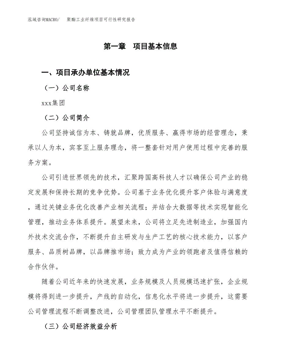 电解液项目可行性研究报告样例参考模板.docx_第4页