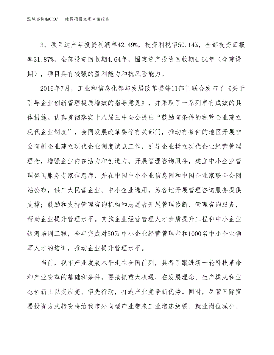 绳网项目立项申请报告样例参考.docx_第4页