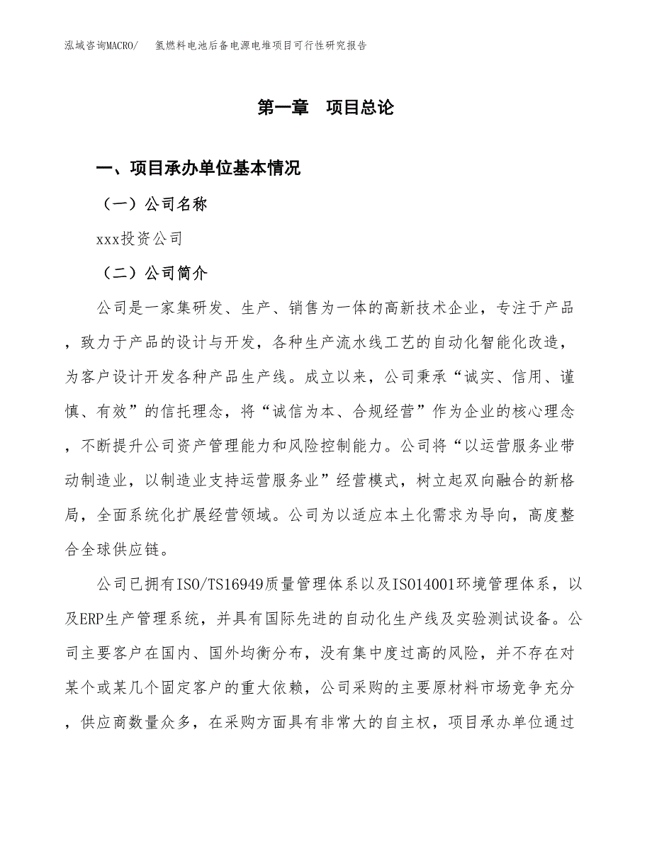 氢燃料电池后备电源电堆项目可行性研究报告样例参考模板.docx_第4页