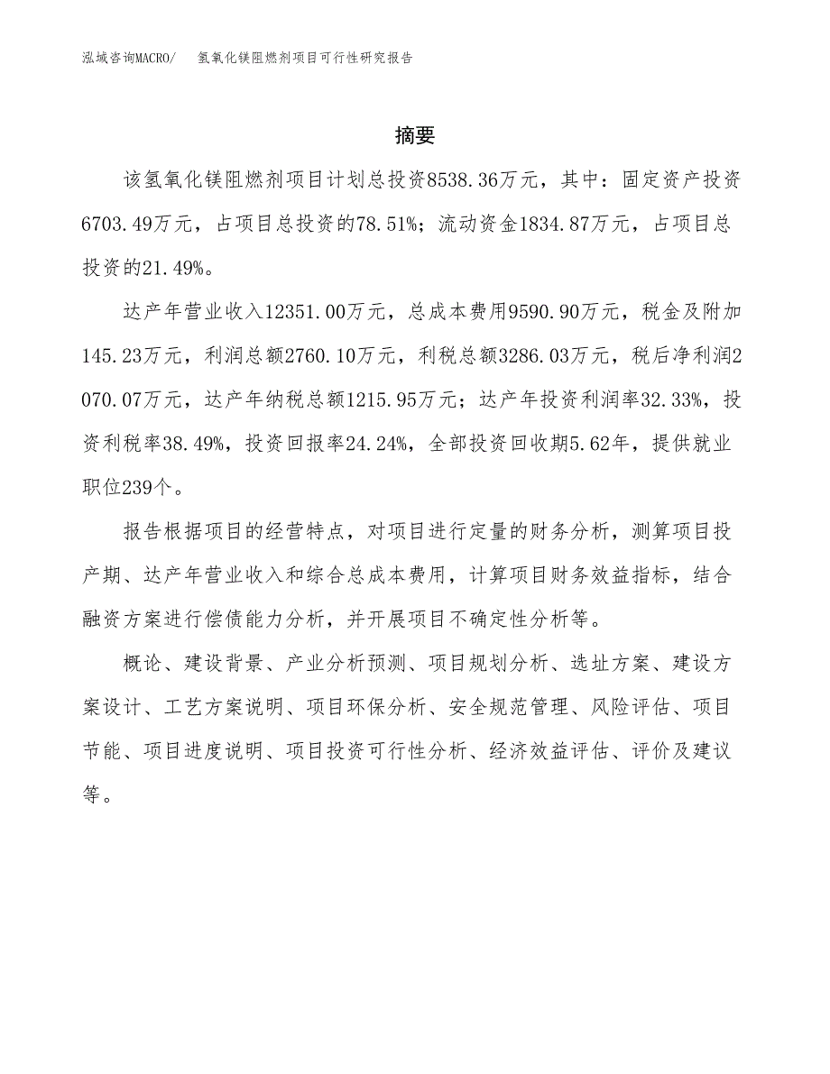 氢氧化镁阻燃剂项目可行性研究报告样例参考模板.docx_第2页