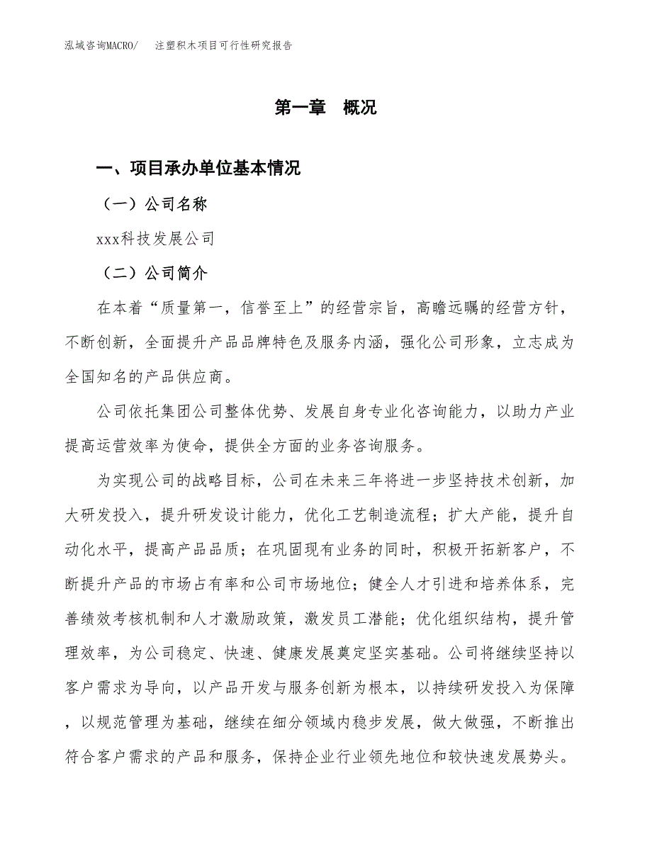 注塑积木项目可行性研究报告样例参考模板.docx_第4页