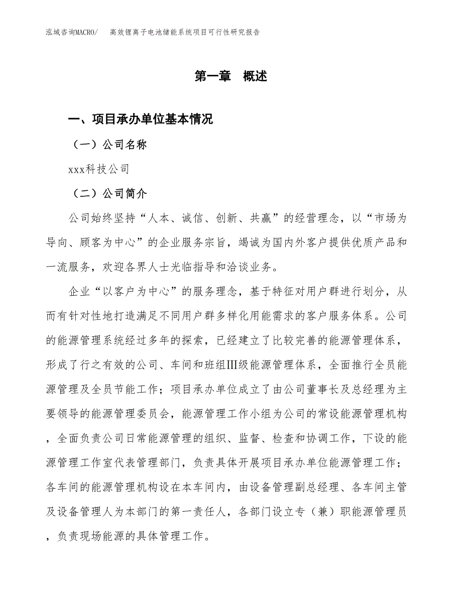 高效锂离子电池储能系统项目可行性研究报告样例参考模板.docx_第4页