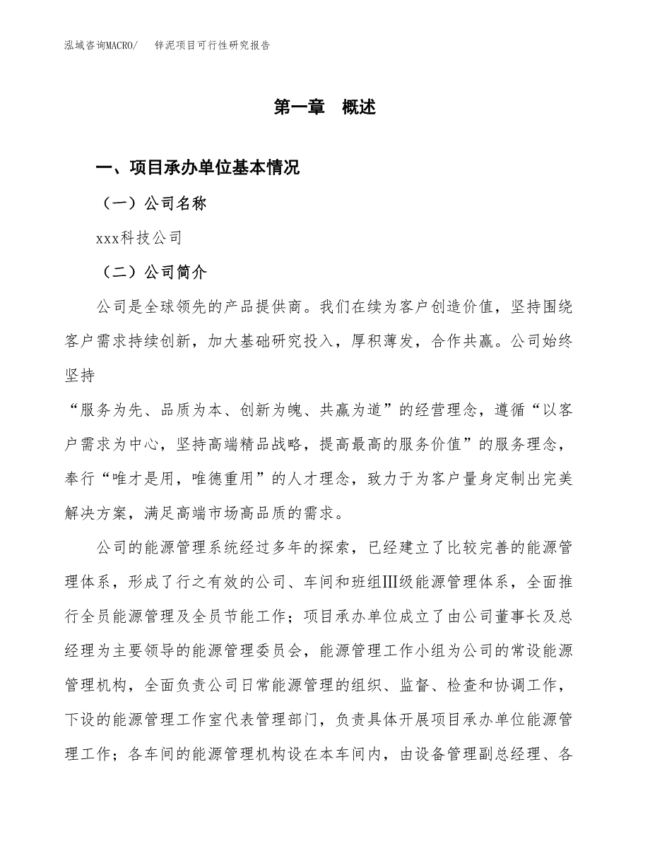 锌泥项目可行性研究报告样例参考模板.docx_第4页