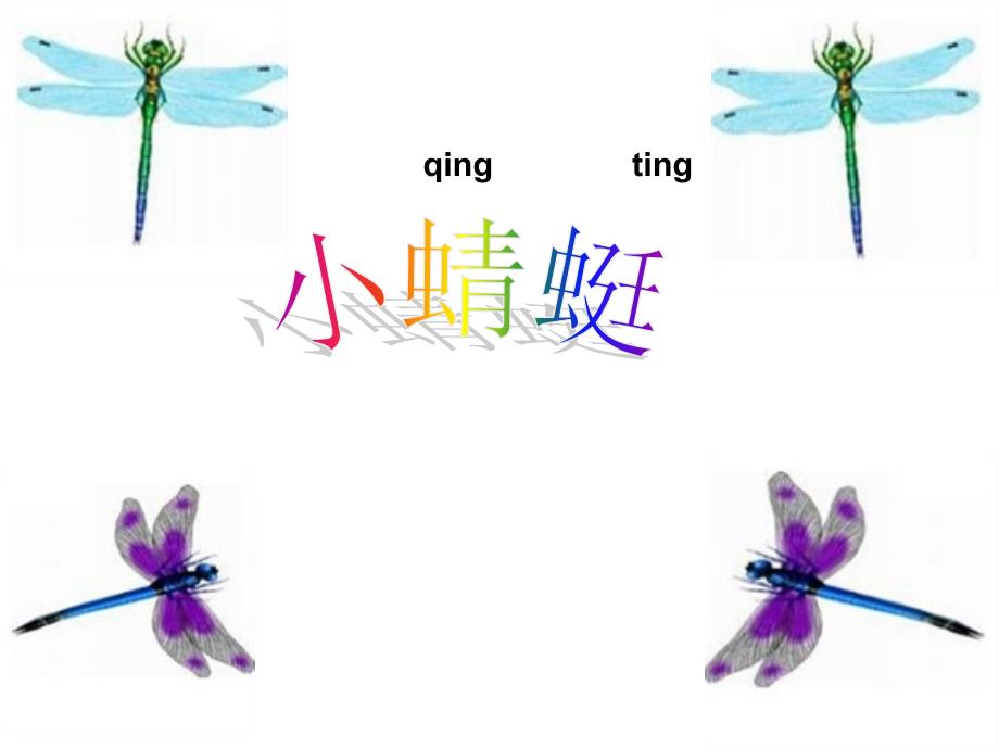 人教小学音乐一上《4.6小蜻蜓》课件_第3页