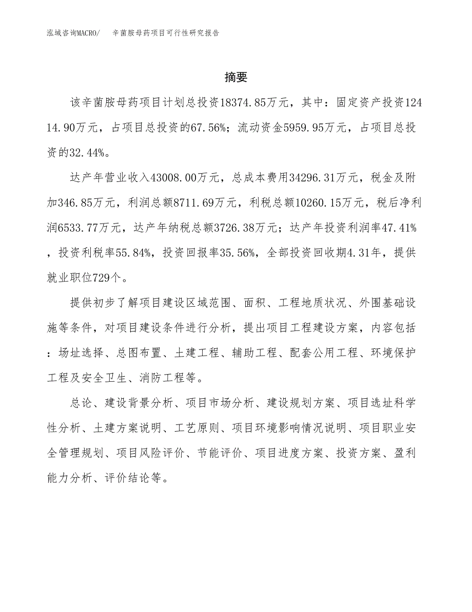 辛菌胺母药项目可行性研究报告样例参考模板.docx_第2页