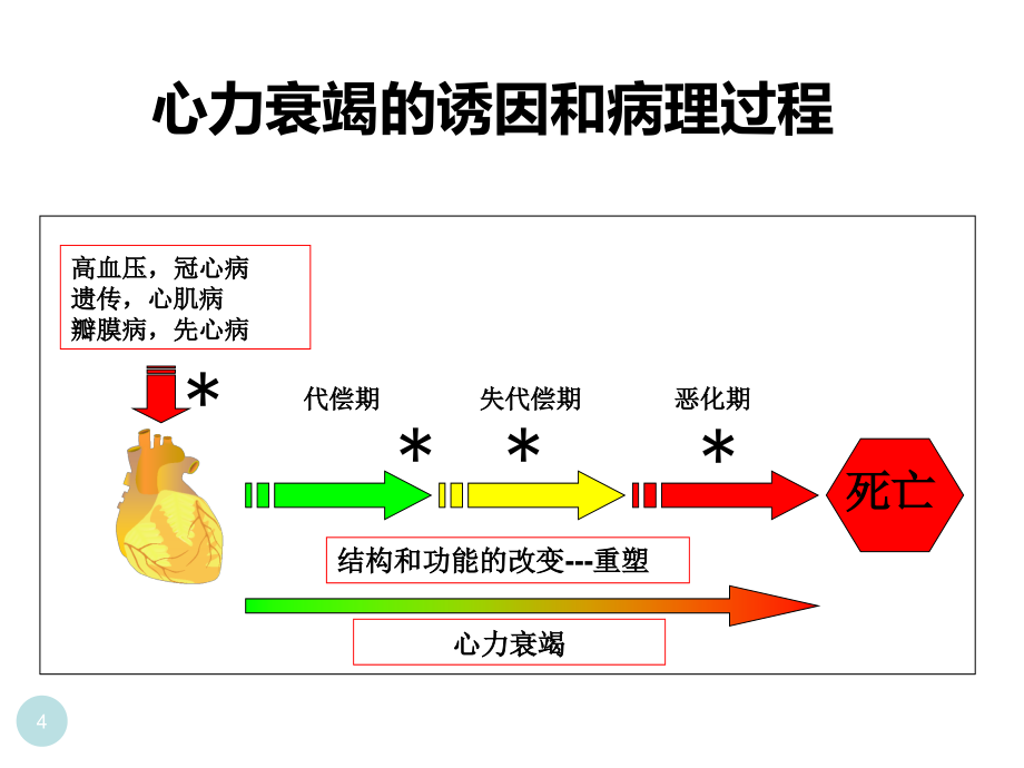 从细胞因子与能量代谢角度研究慢性心力衰竭治疗新靶点与干预策略(2015年心血管药理)-刘培庆1_第4页