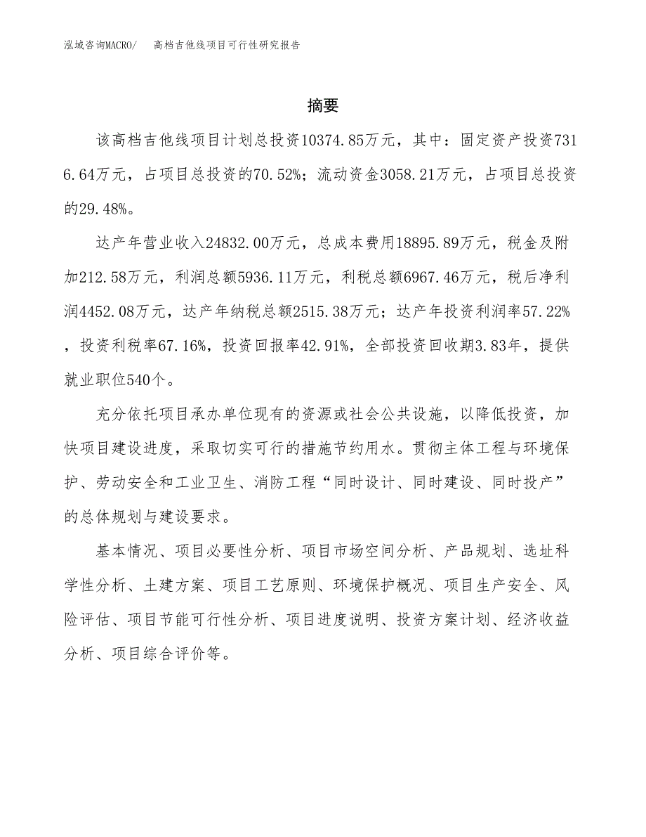 高档吉他线项目可行性研究报告样例参考模板.docx_第2页