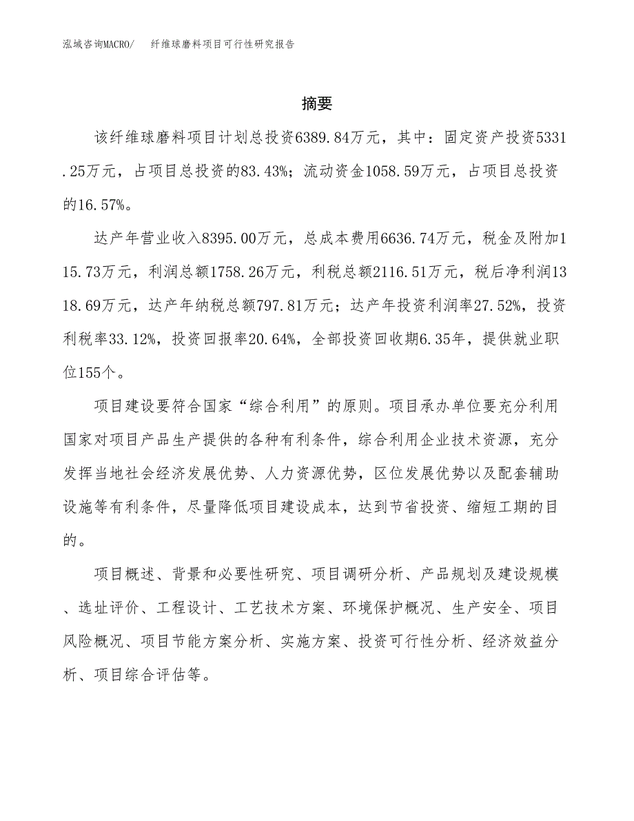 纤维球磨料项目可行性研究报告样例参考模板.docx_第2页