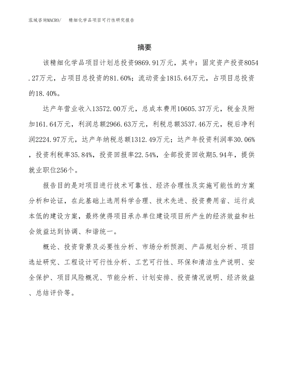 精细化学品项目可行性研究报告样例参考模板.docx_第2页