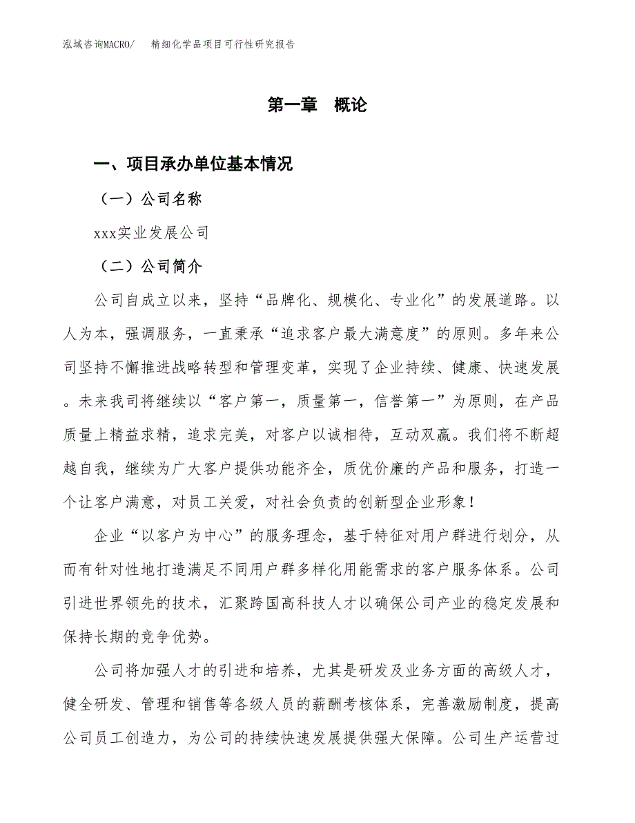 精细化学品项目可行性研究报告样例参考模板.docx_第4页