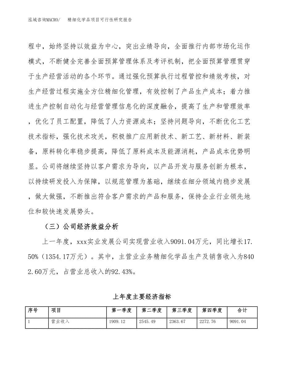 精细化学品项目可行性研究报告样例参考模板.docx_第5页