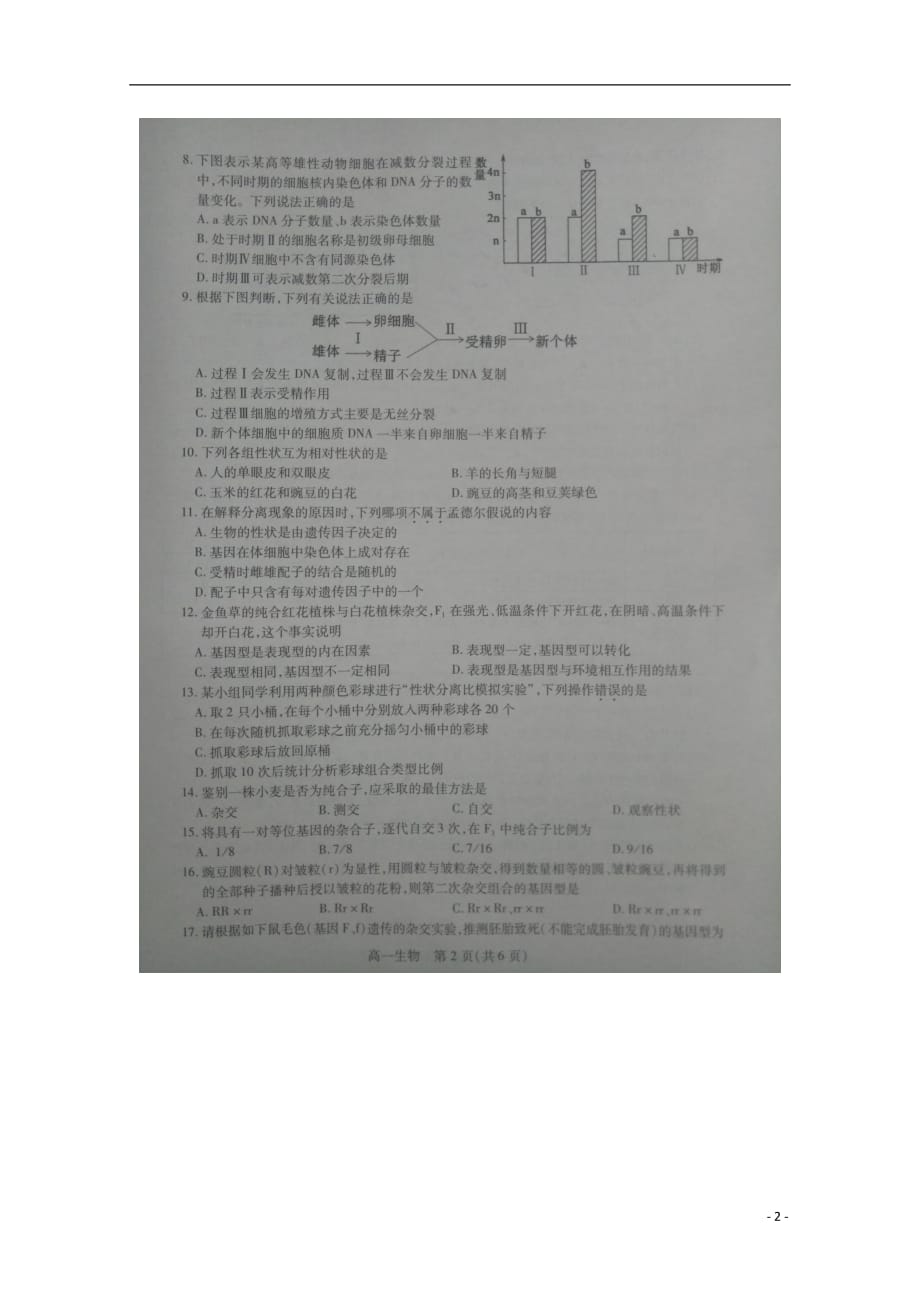 江苏省邳州四中2018_2019学年高一生物下学期期中试题（扫描版）_9676_第2页