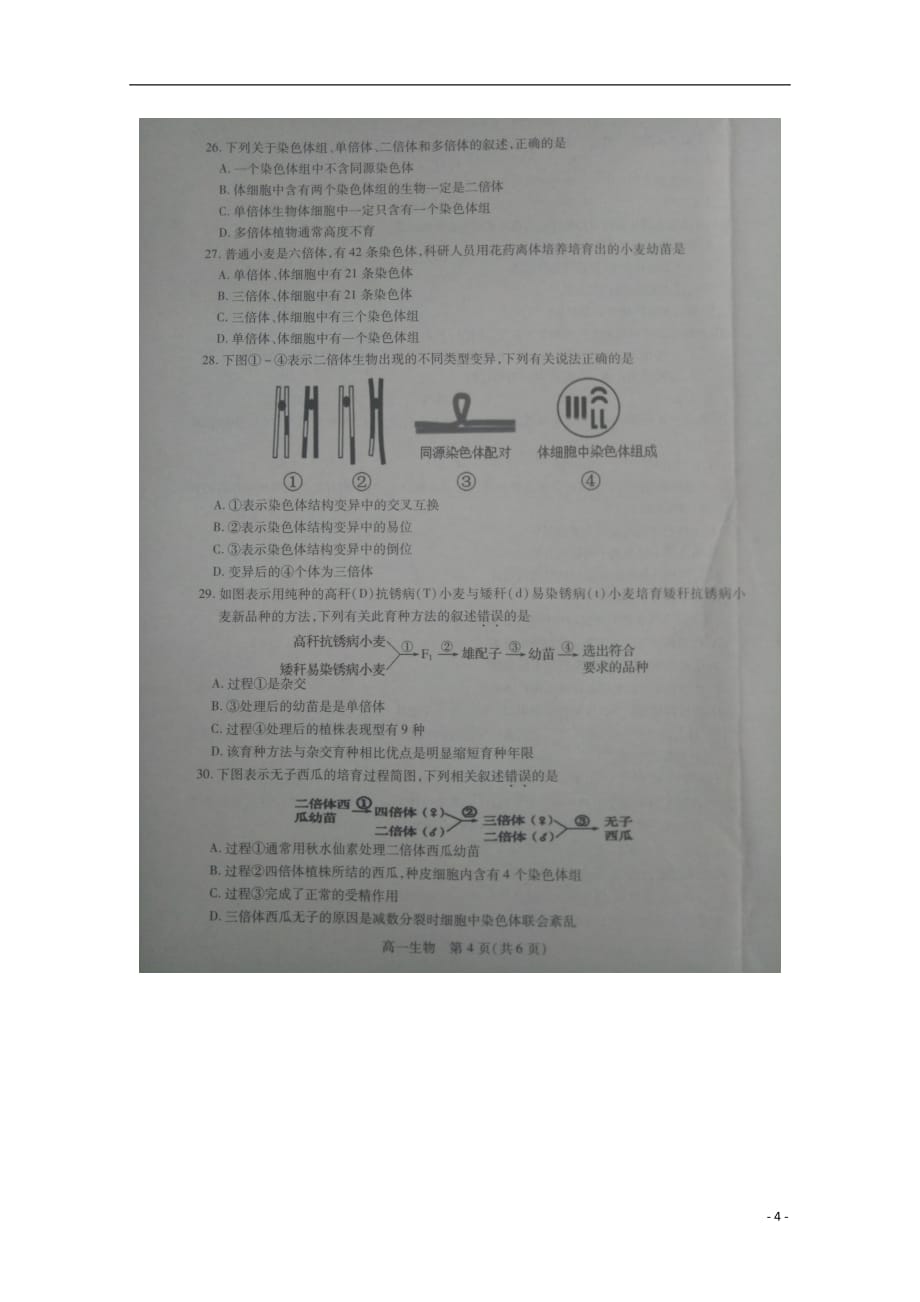 江苏省邳州四中2018_2019学年高一生物下学期期中试题（扫描版）_9676_第4页