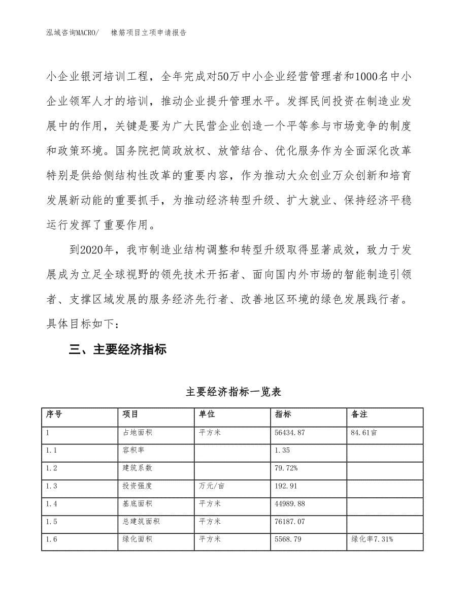 橡筋项目立项申请报告样例参考.docx_第5页