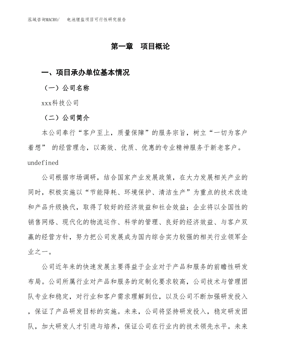 电池锂盐项目可行性研究报告样例参考模板.docx_第4页