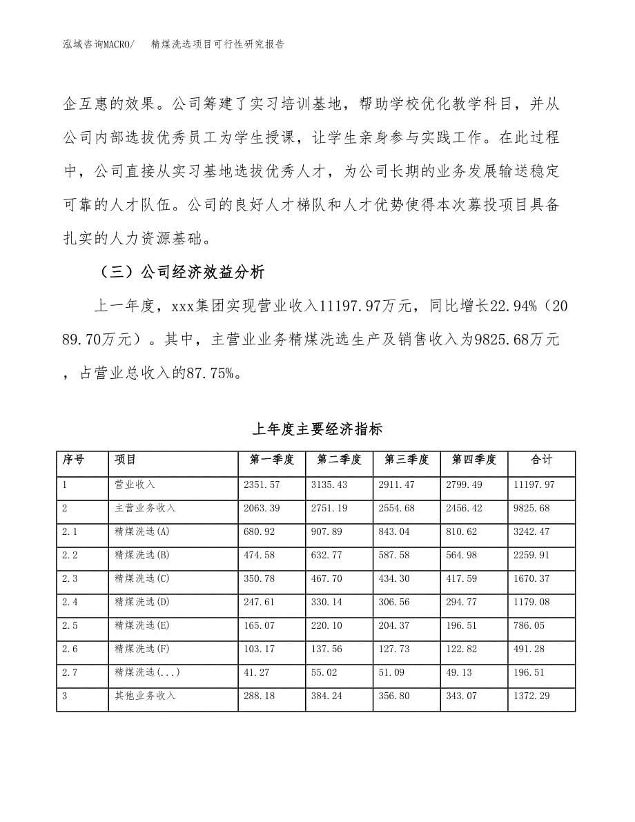 精煤洗选项目可行性研究报告样例参考模板.docx_第5页