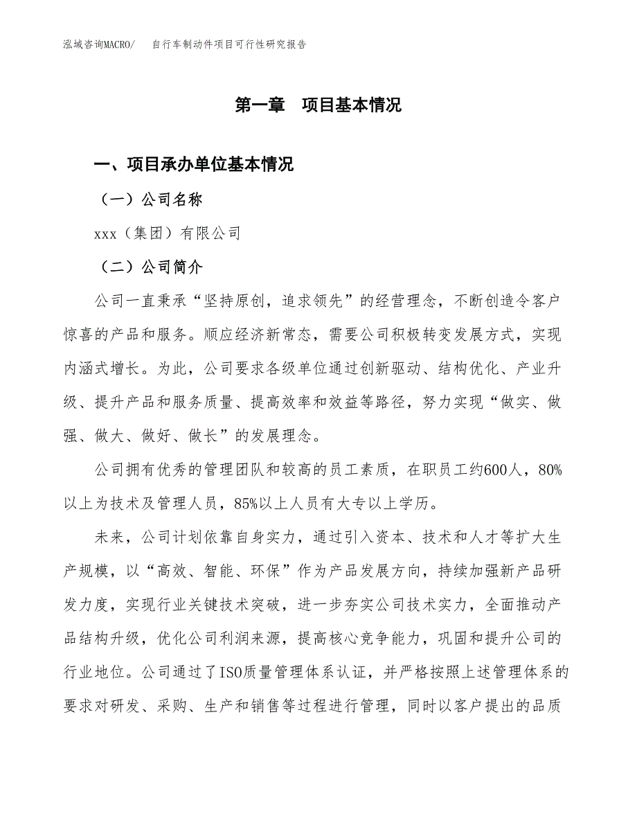 自行车制动件项目可行性研究报告样例参考模板.docx_第4页