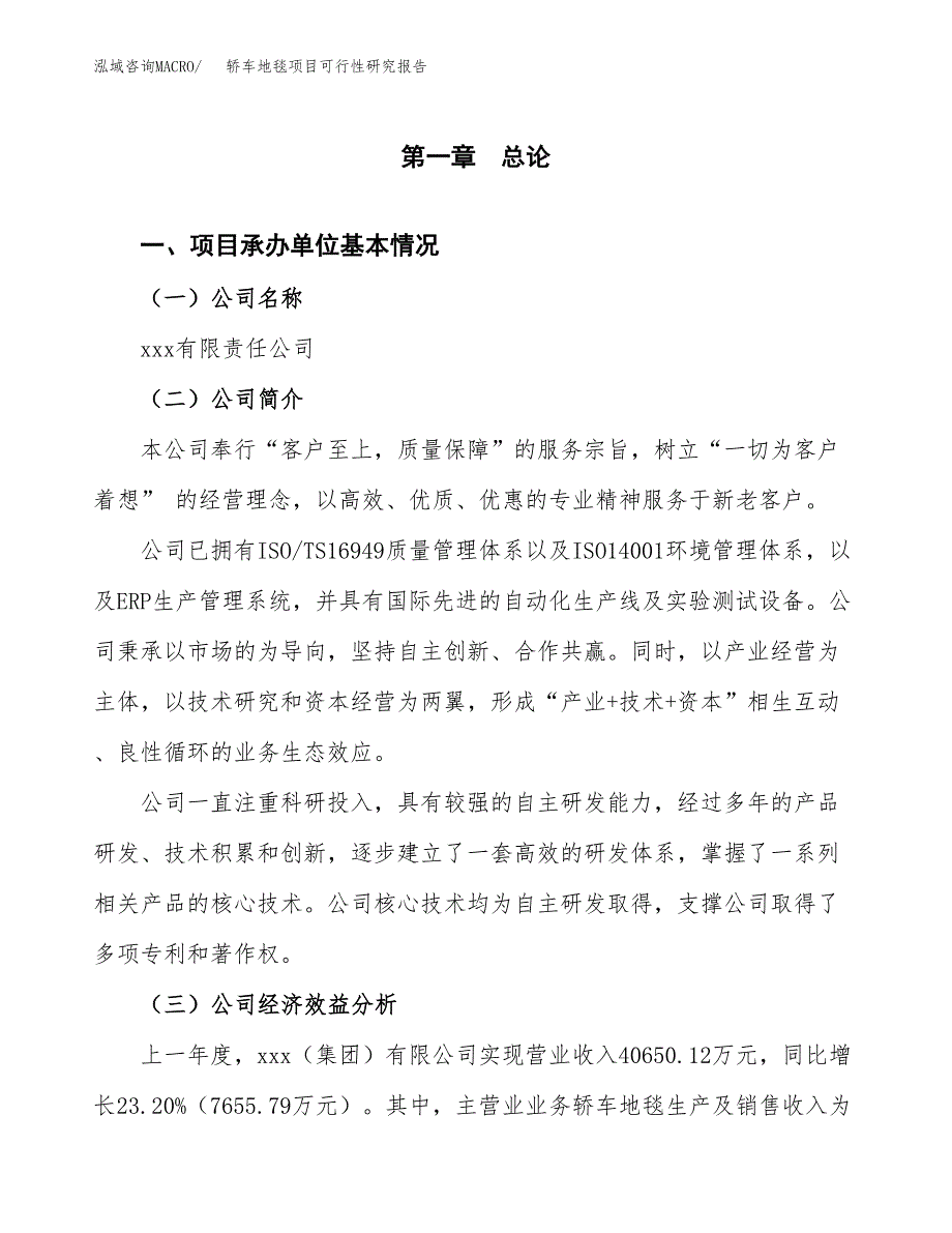 轿车地毯项目可行性研究报告样例参考模板.docx_第4页