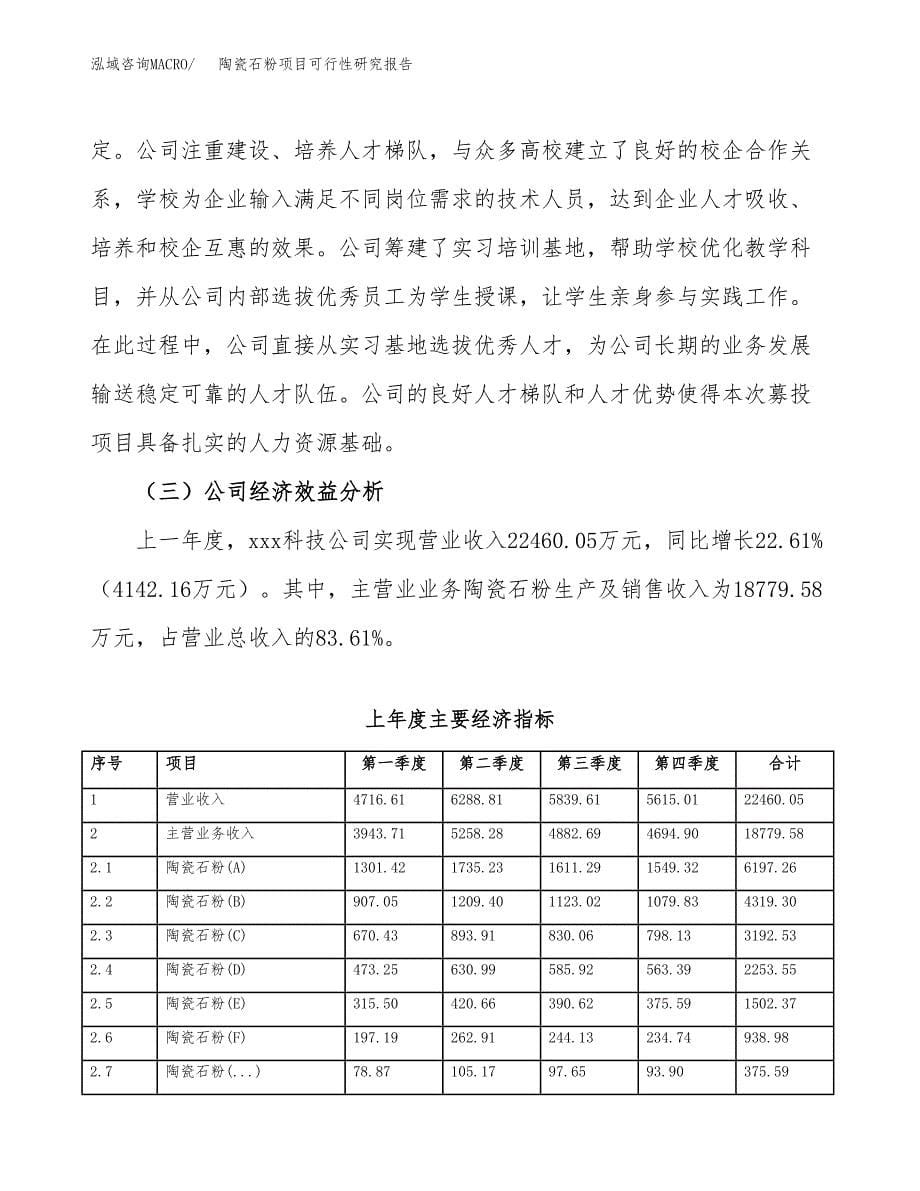 陶瓷石粉项目可行性研究报告样例参考模板.docx_第5页