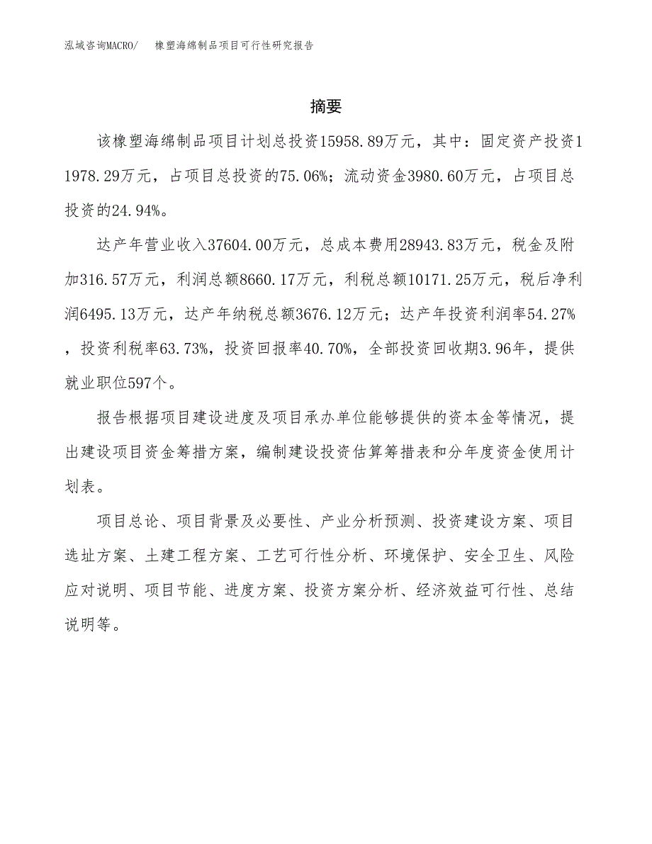 橡塑海绵制品项目可行性研究报告样例参考模板.docx_第2页