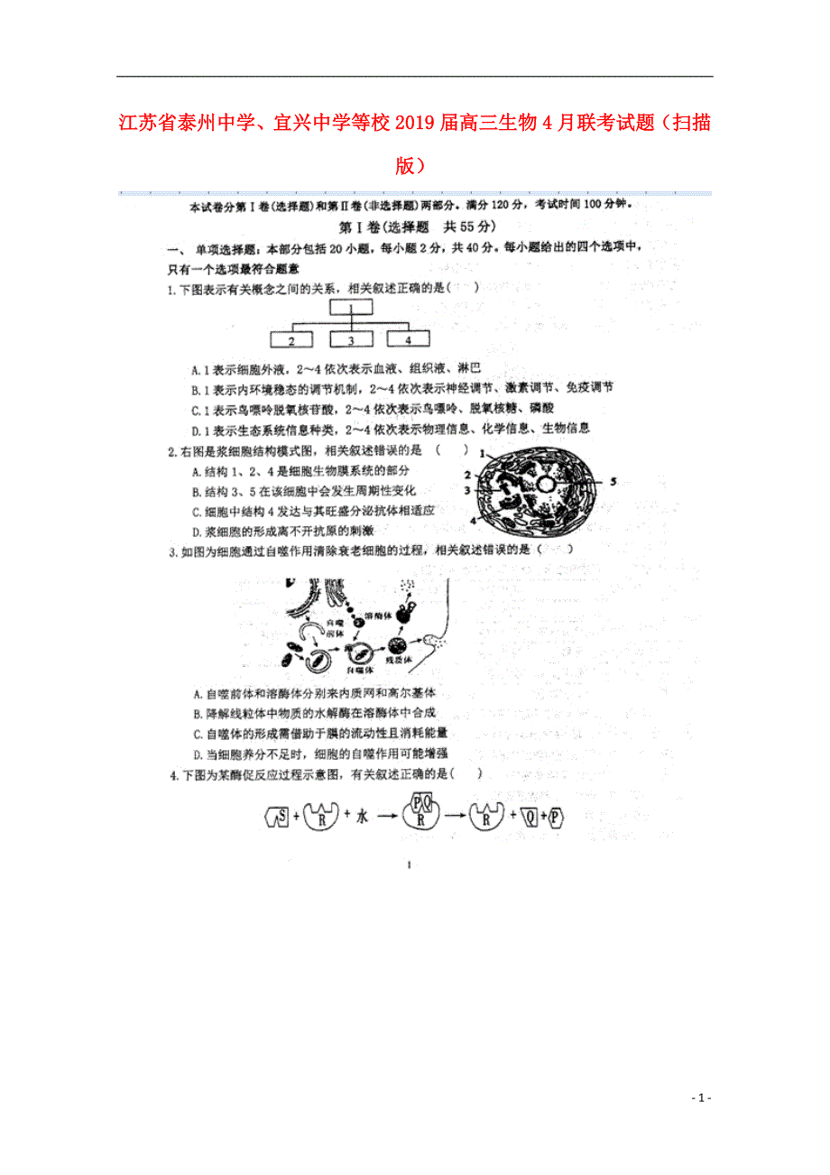 江苏省、宜兴中学等校2019届高三生物4月联考试题（扫描版）_第1页