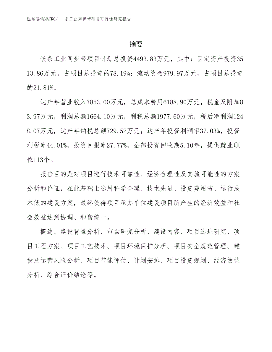 条工业同步带项目可行性研究报告样例参考模板.docx_第2页