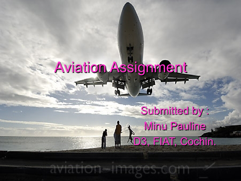 Aviation Assignment英文版).ppt_第1页