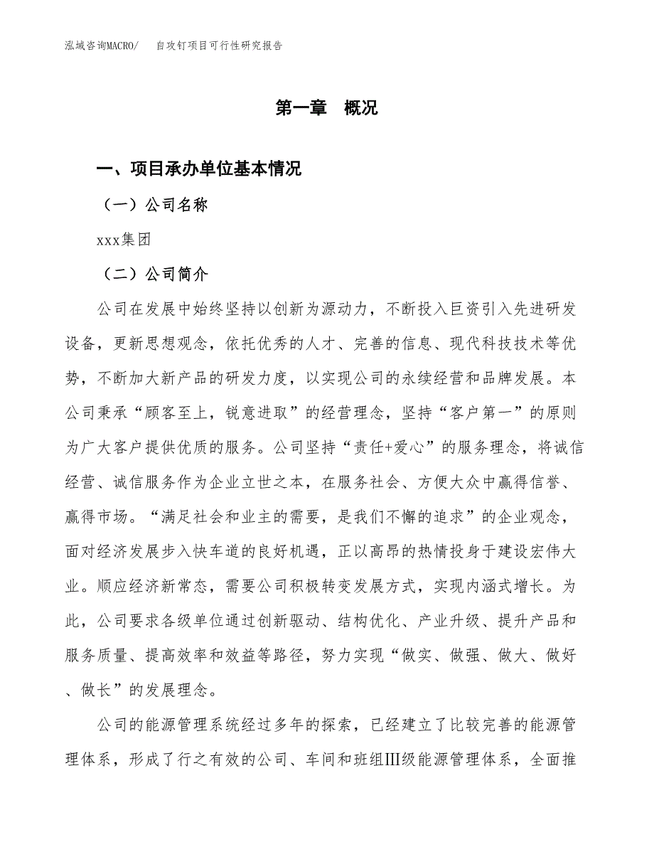 自攻钉项目可行性研究报告样例参考模板.docx_第4页